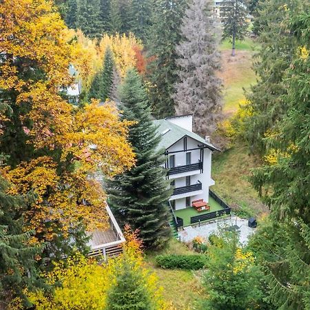 Family Treez Premium Apartments Poiana Brasov Exterior foto
