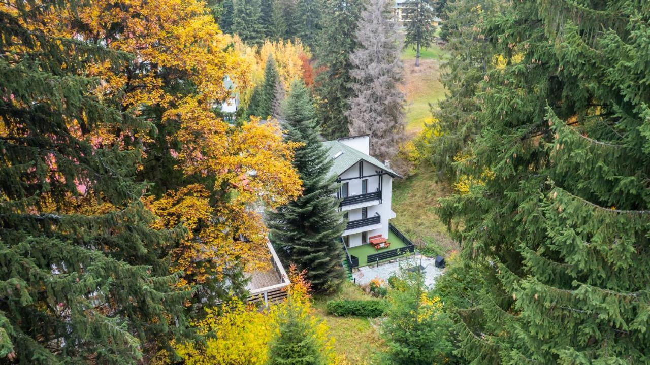 Family Treez Premium Apartments Poiana Brasov Exterior foto